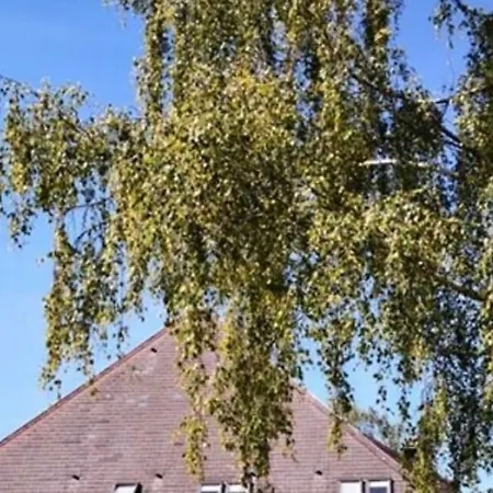 Kyriad Otel 3*